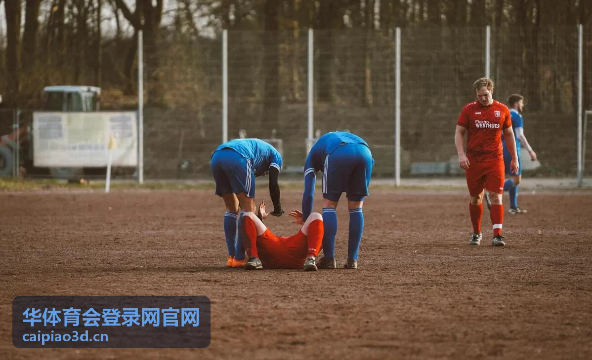 华体育会登录网官网赛事资讯动态页面浏览场景示意