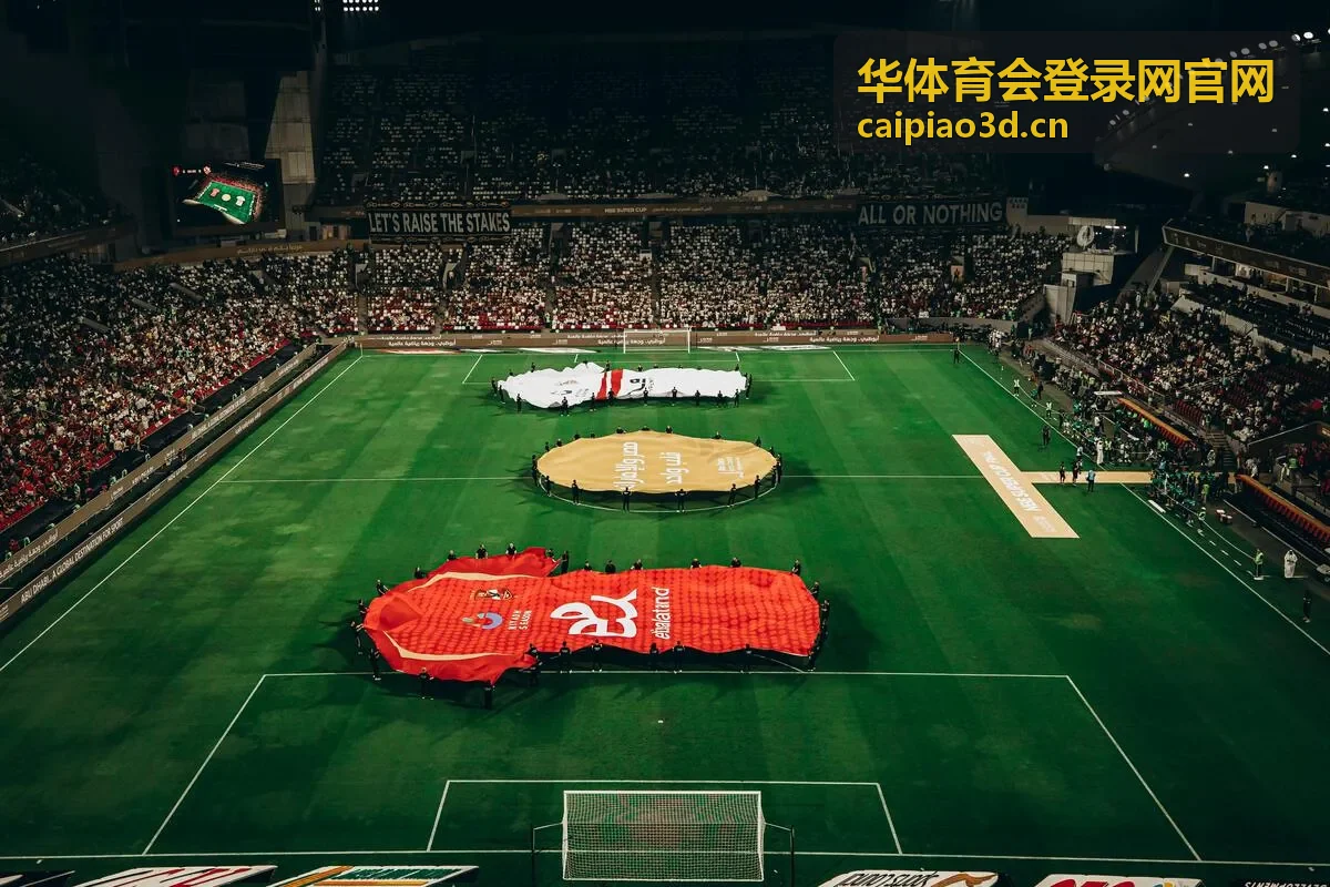 华体育会登录网官网服务帮助中心的访问与自查示意