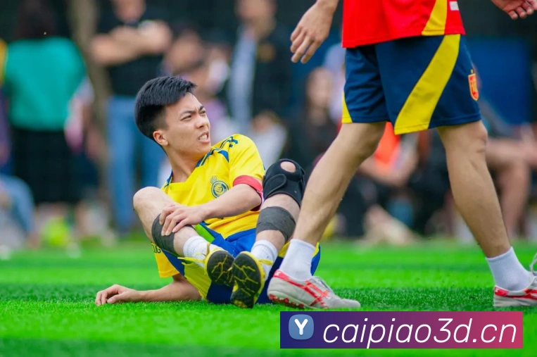 9游官网入口服务体系